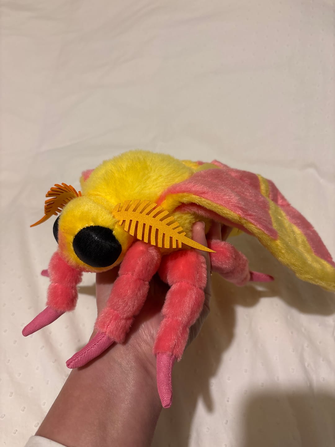 Customer photo review of Rosy Maple Moth Soft Stuffed Plush Toy