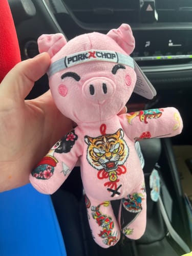 Customer photo review of Benny the Bulldog 8-inch Sprout Plushie