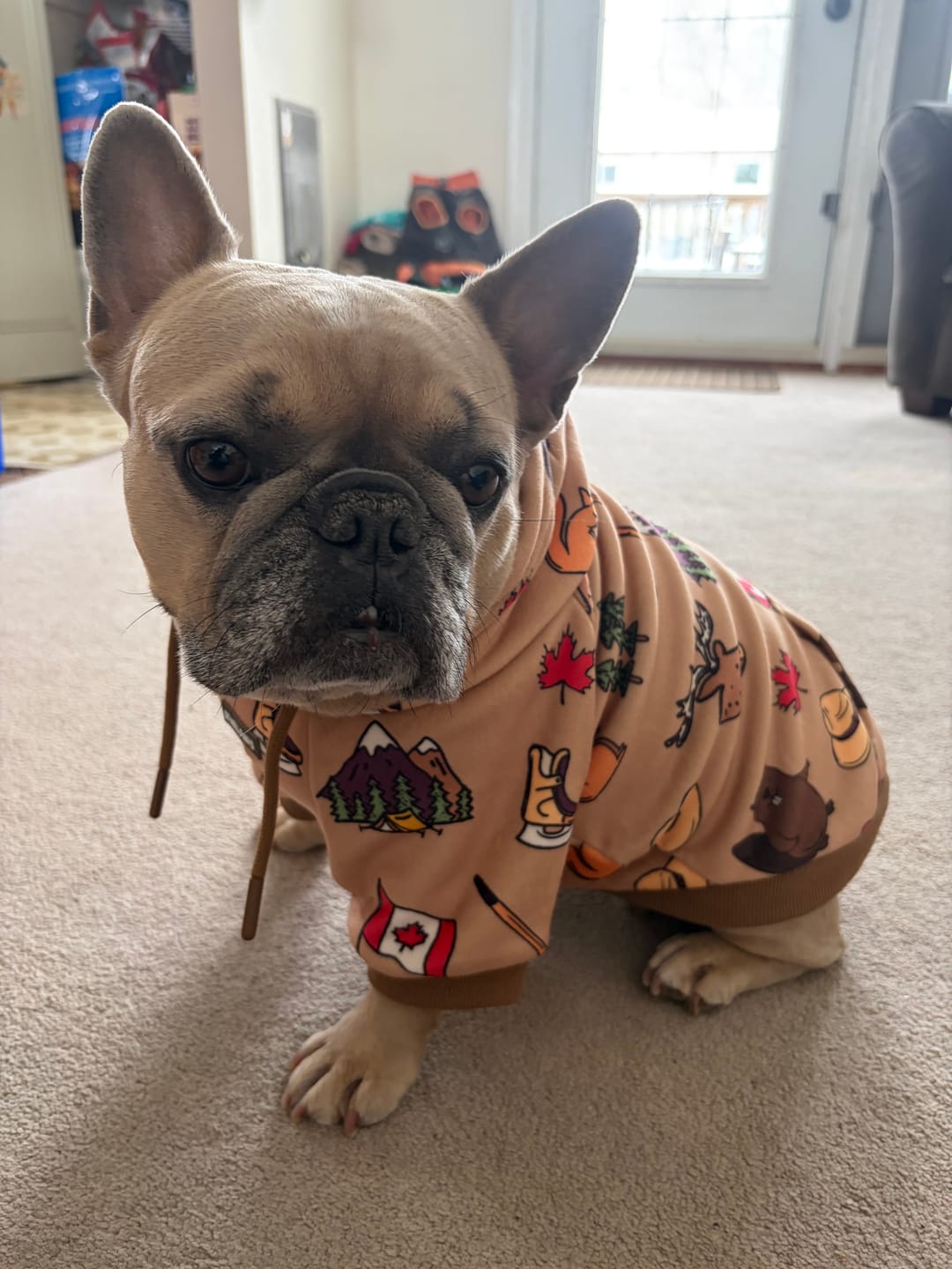 Customer photo review of Canada Dog Hoodie