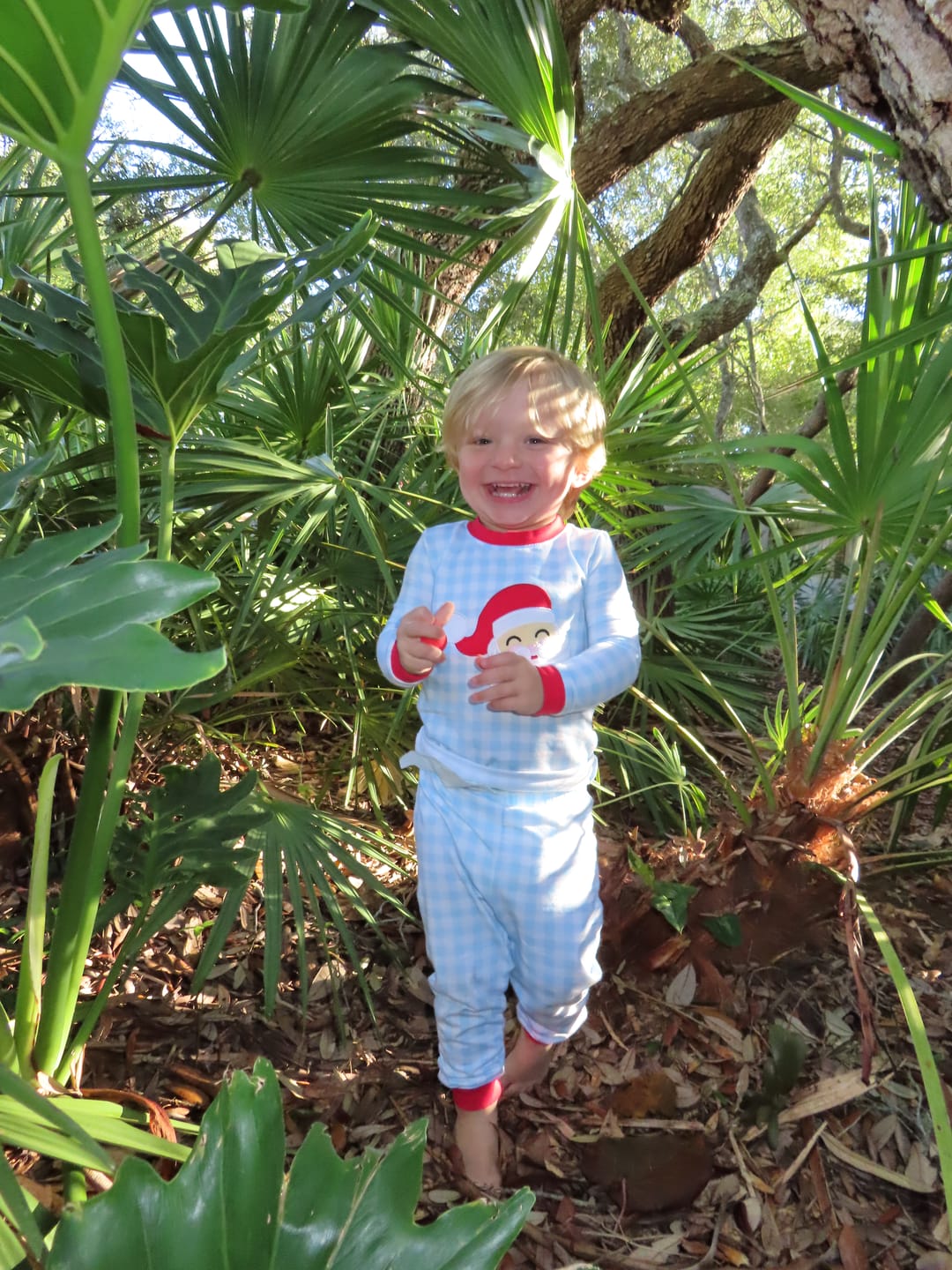 Customer photo review of Happy Santa Blue Gingham Pajamas