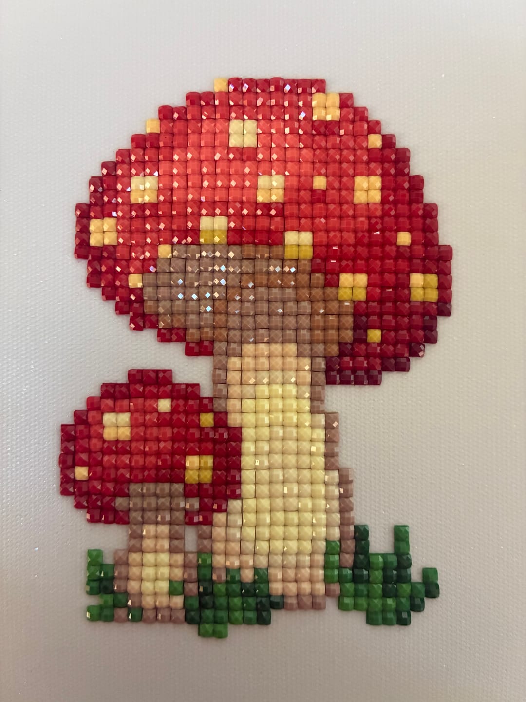Customer photo review of Mushroom Set