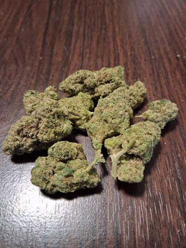 Customer photo review of Horchata THCA Flower