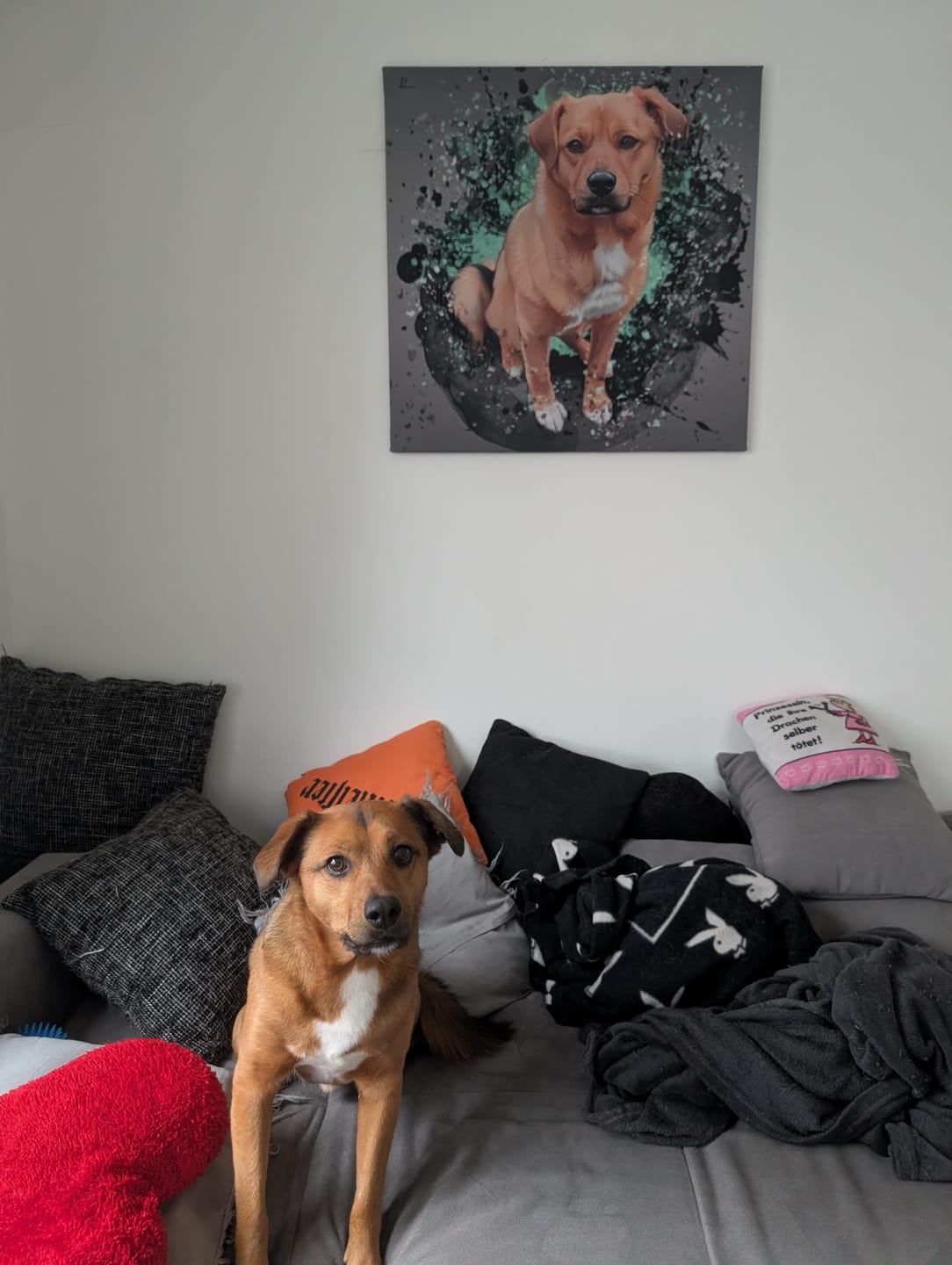 Customer photo review of Handgemaltes Haustierportrait auf Premium Leinwand im Ink Stil