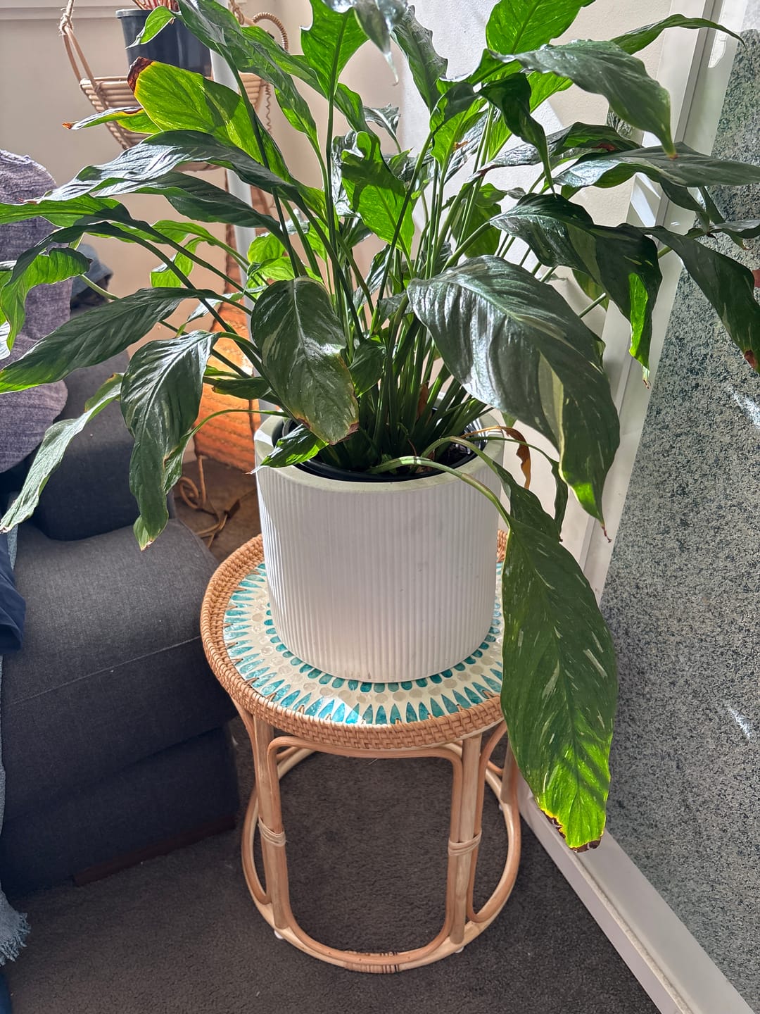 Customer photo review of Serene Rattan Table Set
