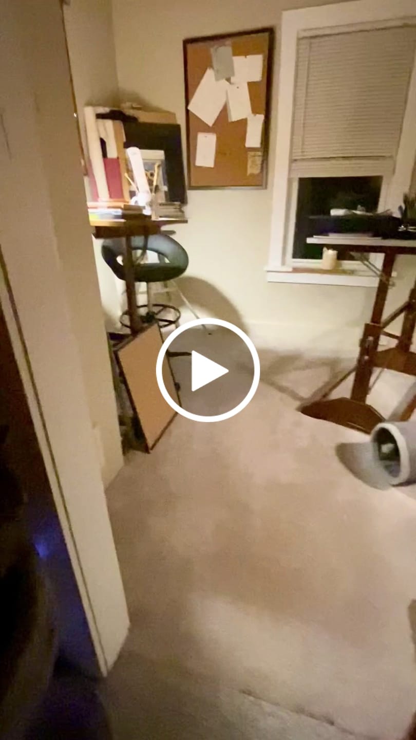 Customer video review of Tabby the Cat Pendulum Clock