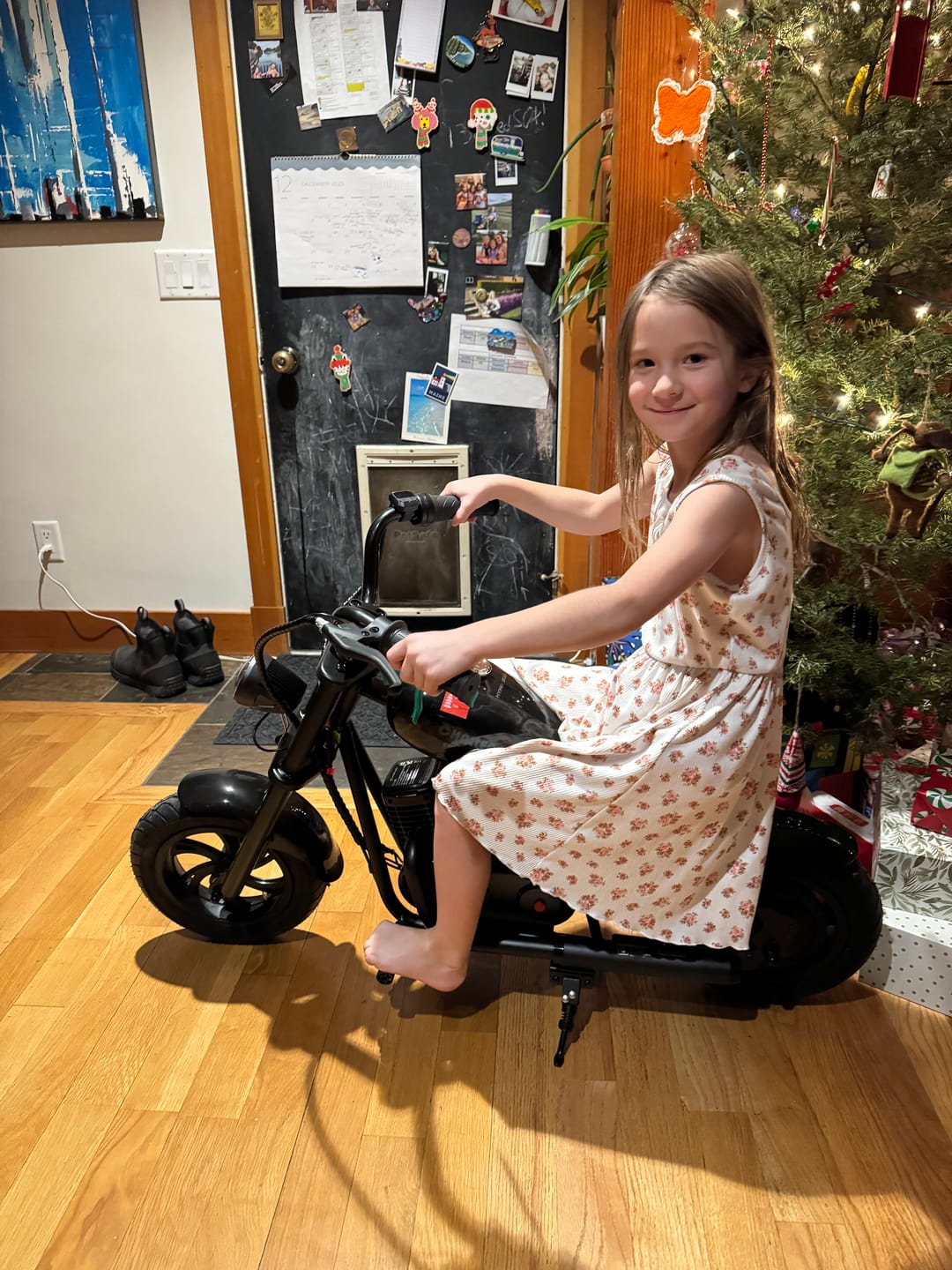 Customer photo review of Challenger 12 Plus