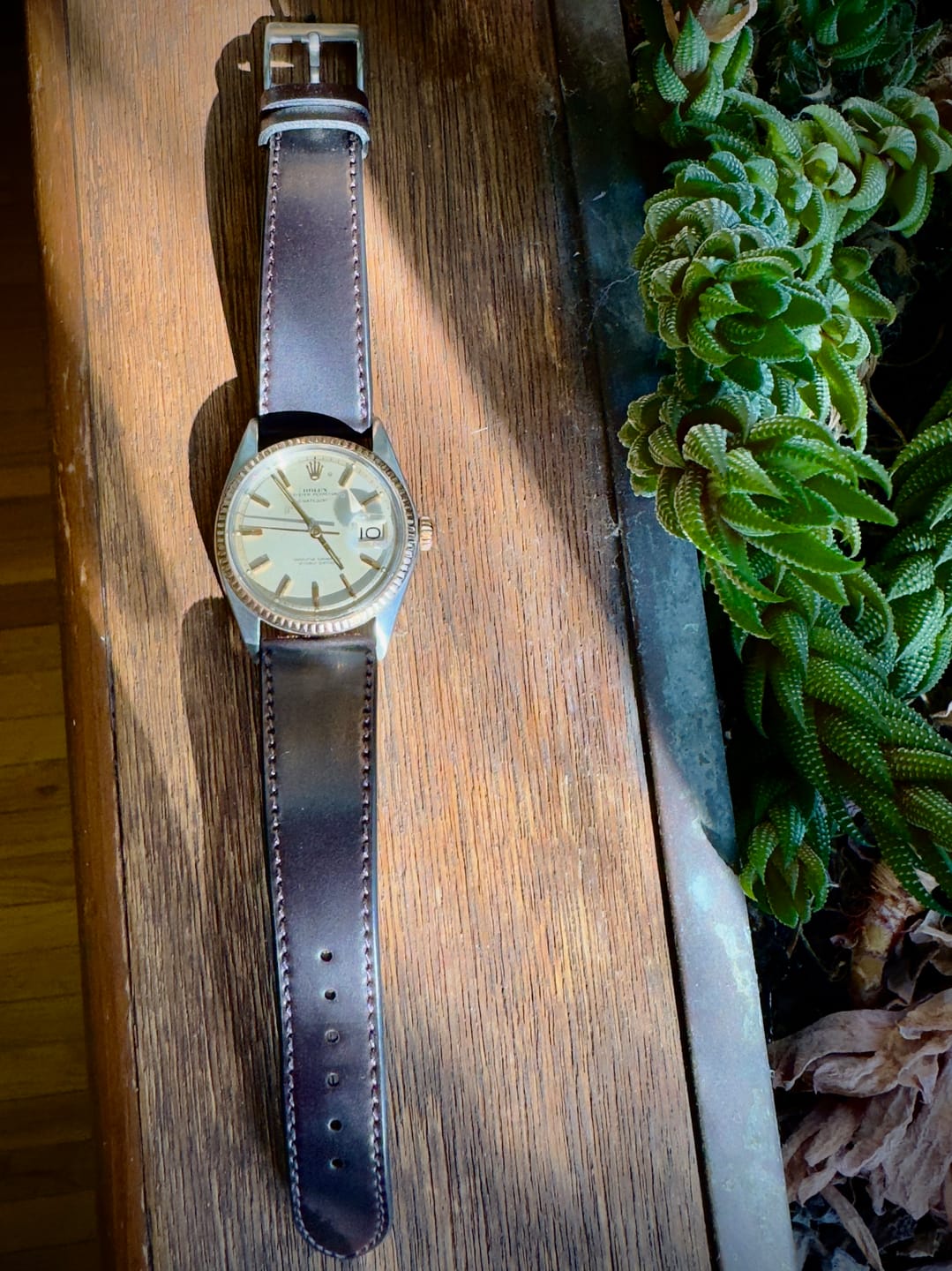 Customer photo review of Color No. 8 Shell Cordovan