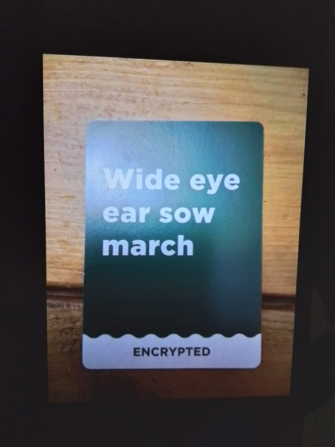 Customer photo review of Encrypted | Christmas Expansion