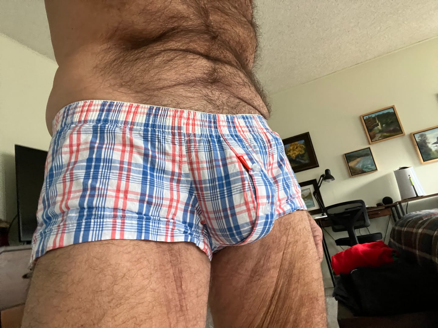 Customer photo review of 3 Pack Men’s Plaid Cotton Trunks with Button Fly