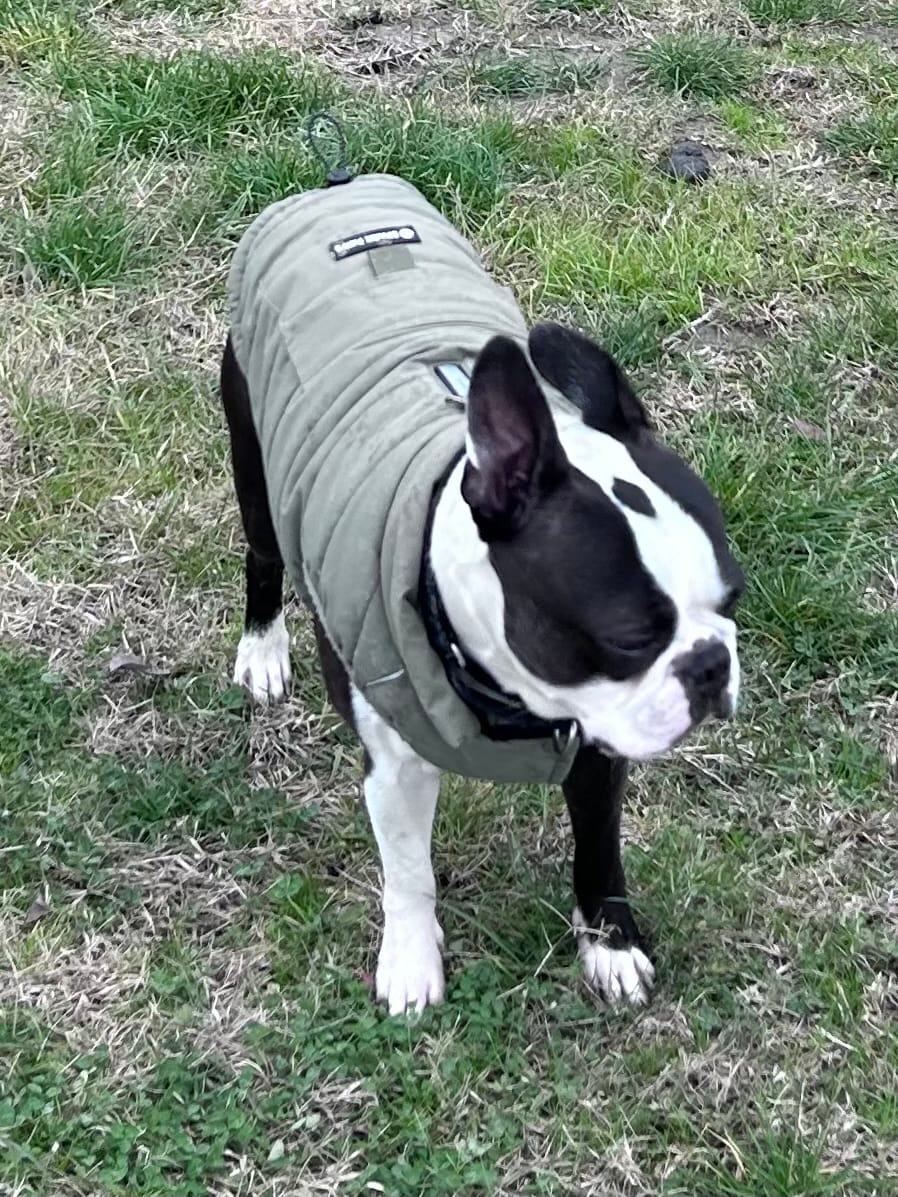 Customer photo review of WarmShield Water-Resistant Jacket - Black