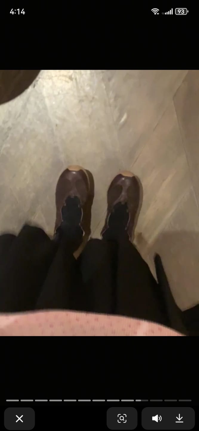 Customer photo review of Papillon ♥ Cross Track Ballerina Sneakers