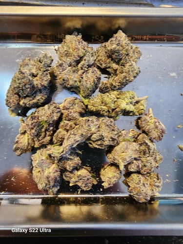 Customer photo review of Purple Trainwreck - Indoor - 28 Grams - Sativa
