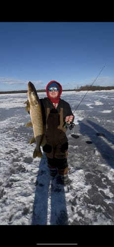 Customer photo review of Custom Power Noodle