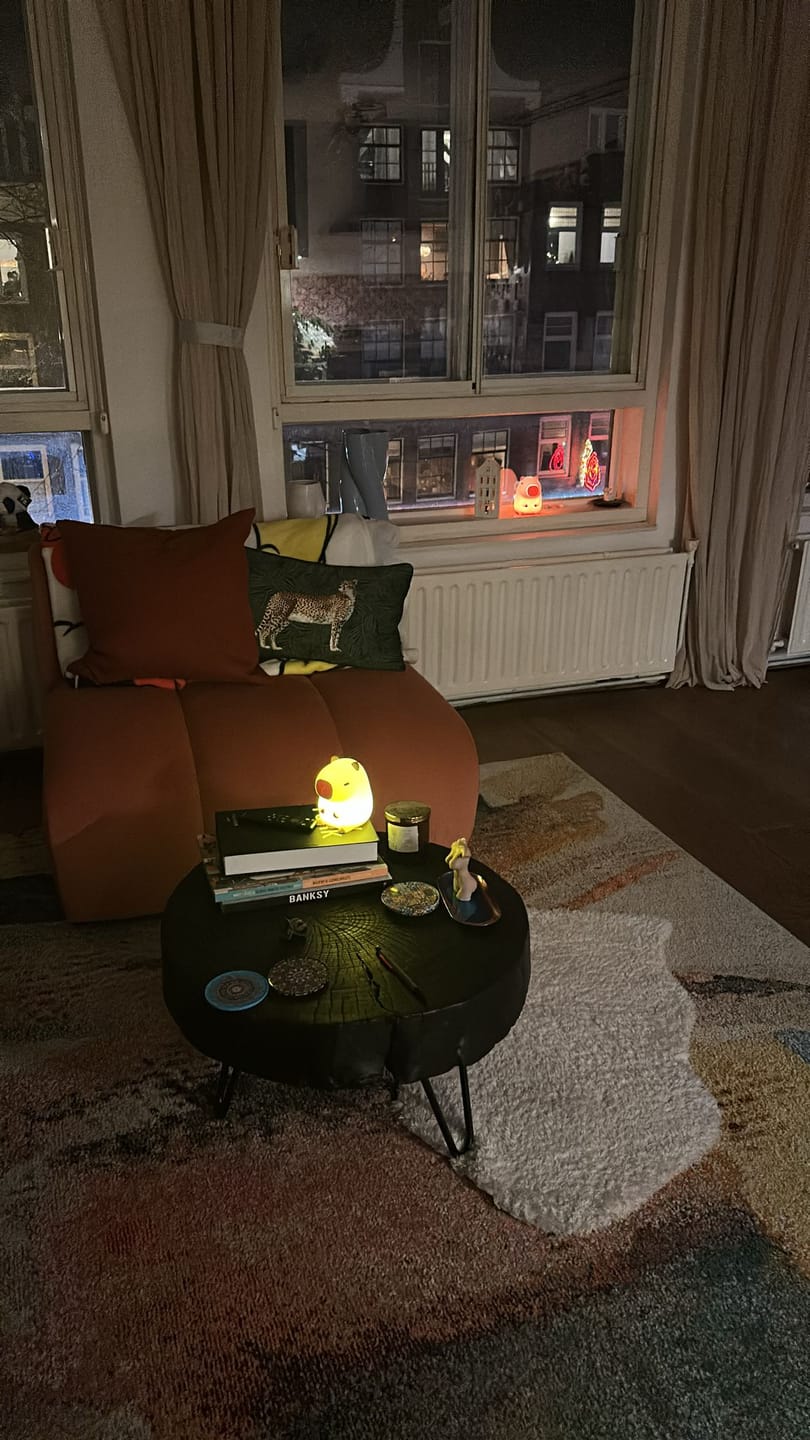 Customer photo review of MeWaii® Capybara Squishy Night Light - Perfect Gift 🎁