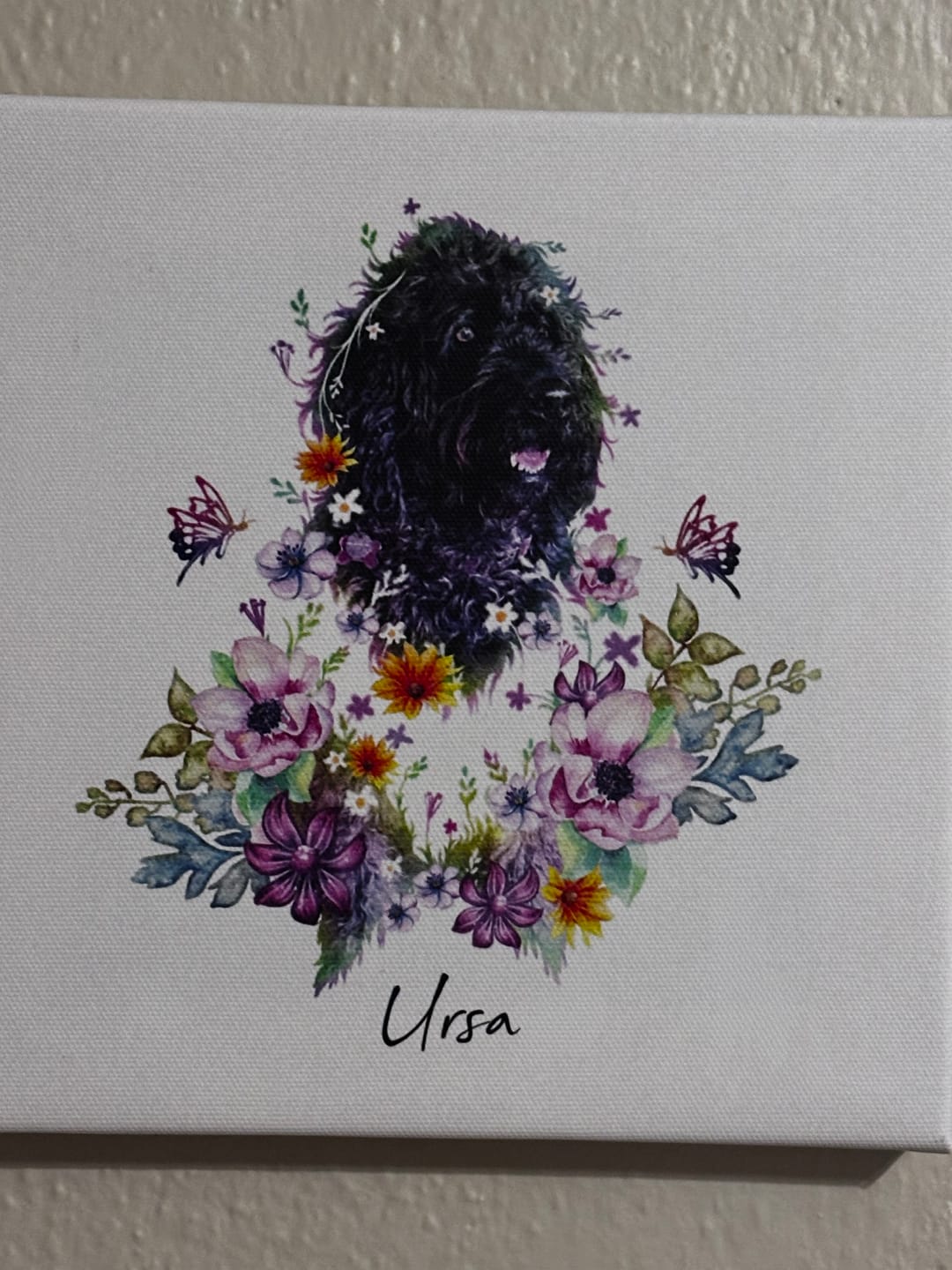 Customer photo review of Flowerpup Custom Pet Portrait (Humans too!)