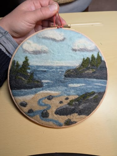 Customer photo review of Coastal Waters Needle Felting Kit