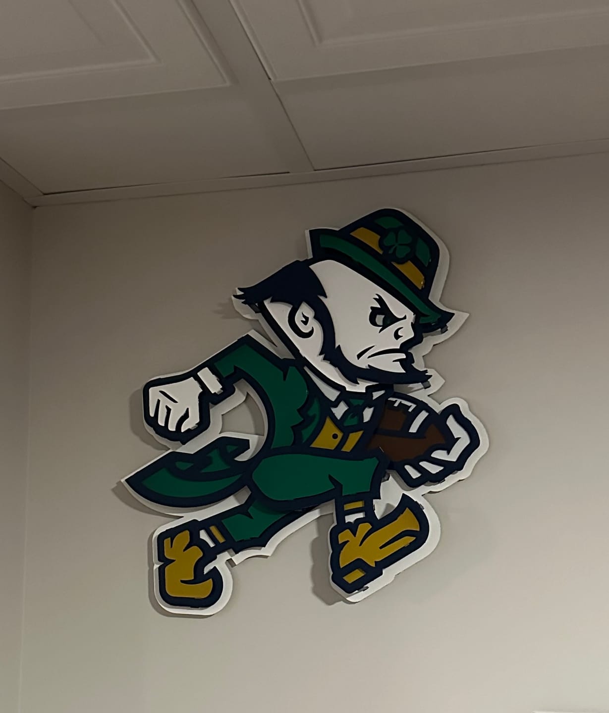Customer photo review of Notre Dame Fighting Irish Football Leprechaun 3D Vintage Metal Wall Art