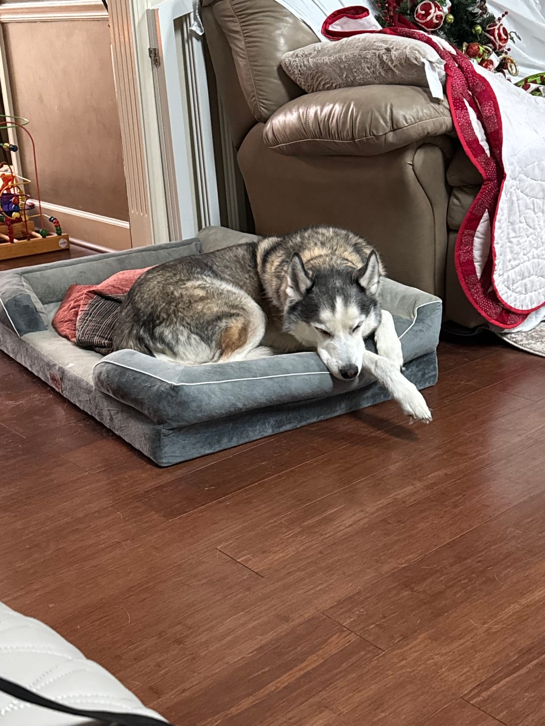 Customer photo review of Bark-Less Bites