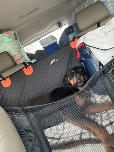 Customer photo review of RuffRover 2.0™ - Hard Bottom Dog Car Seat Protector