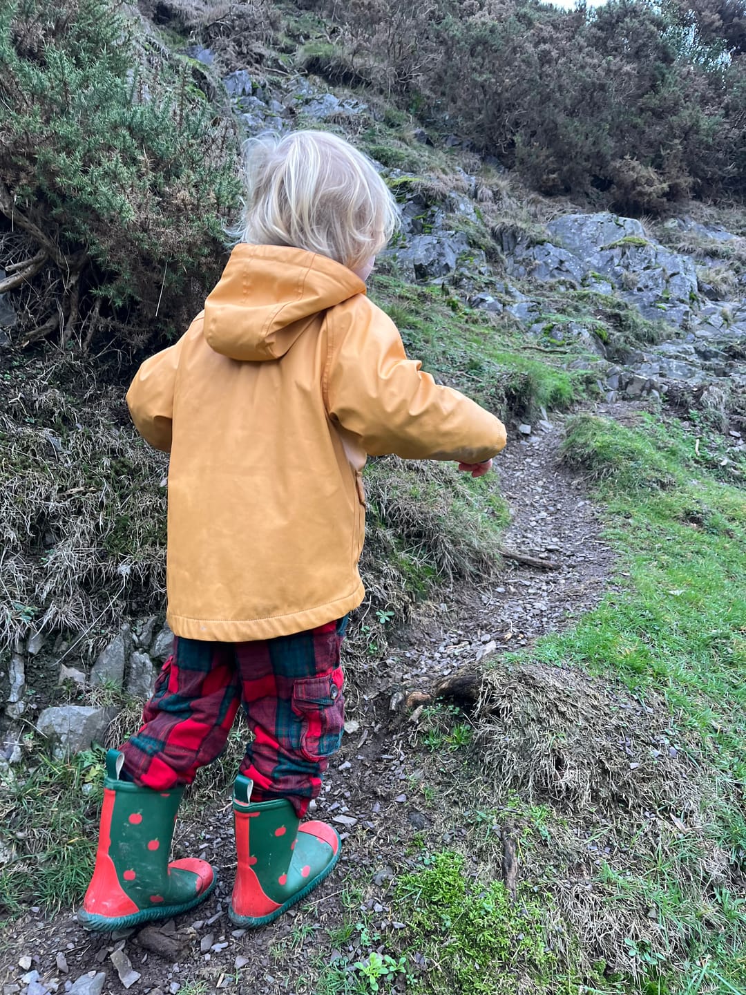 Customer photo review of Red Apples Classic Wellington Fair Rubber Natural Waterproof Boots