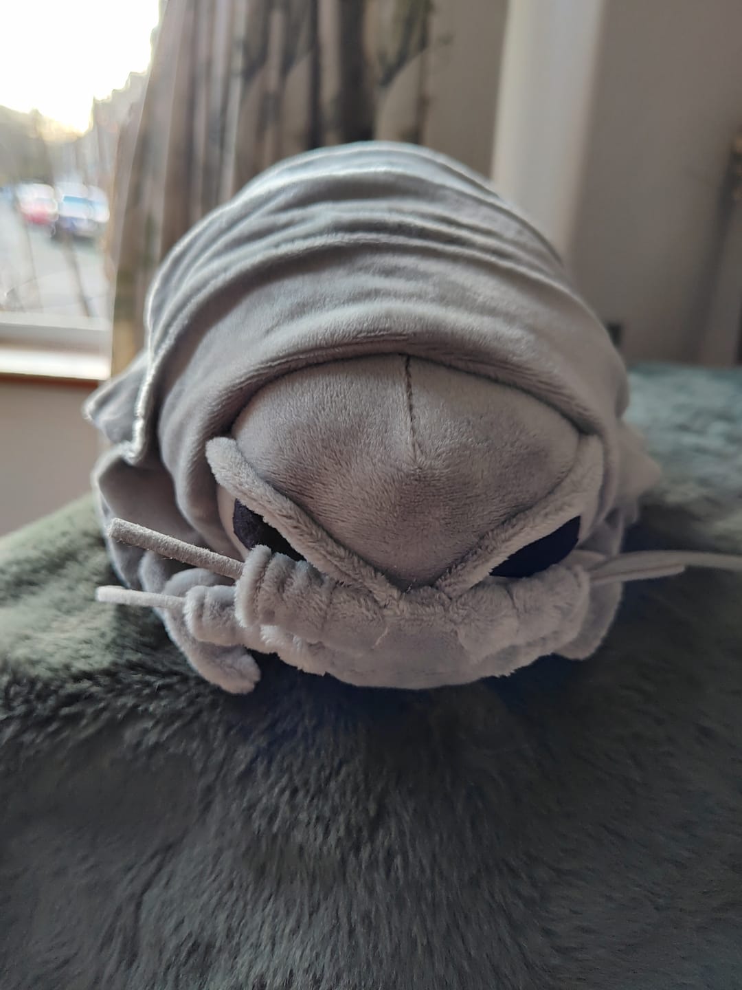 Customer photo review of Giant Isopod Soft Stuffed Plush Toy