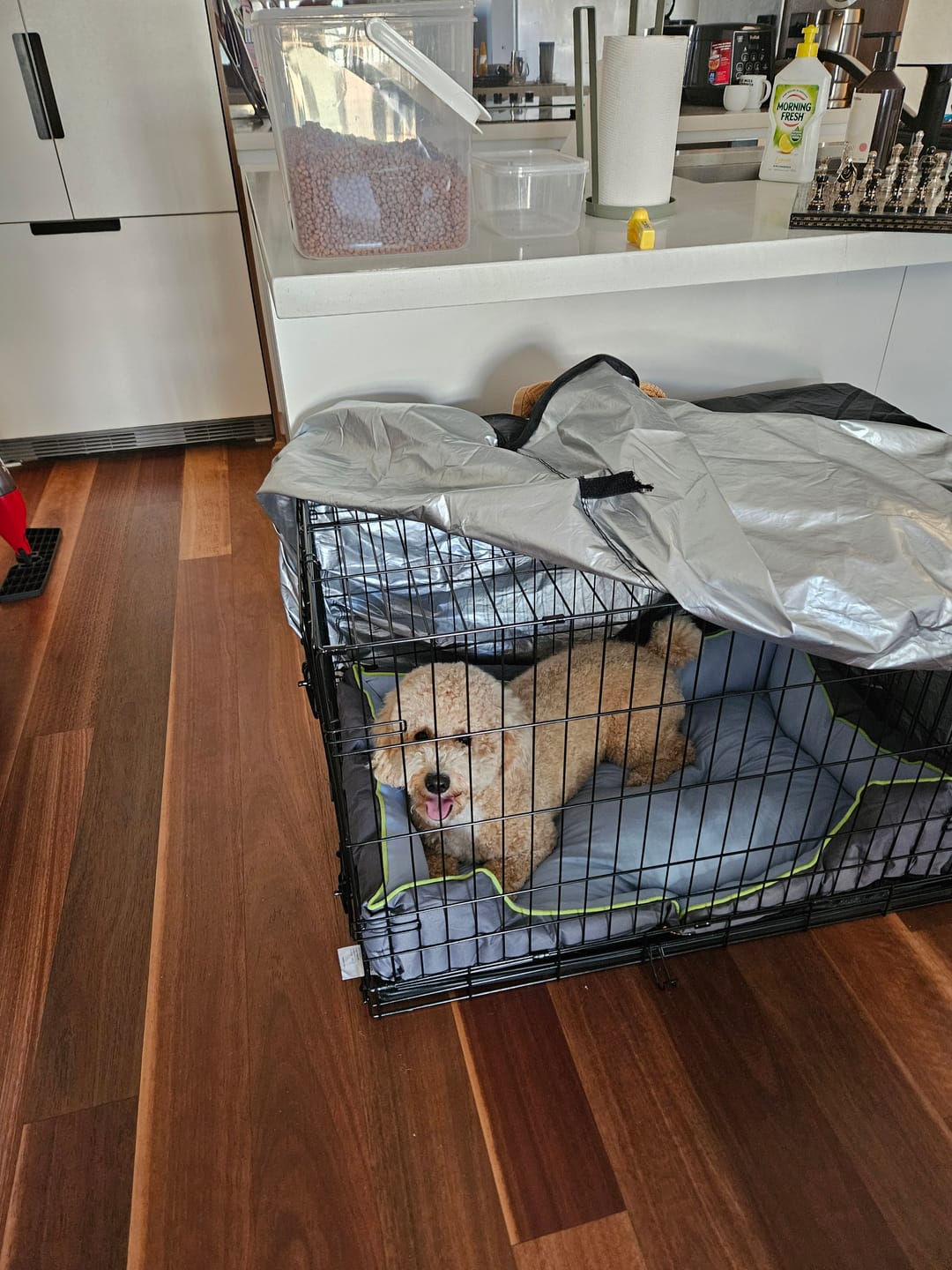 Customer photo review of Pet Cooling Sofa Bed