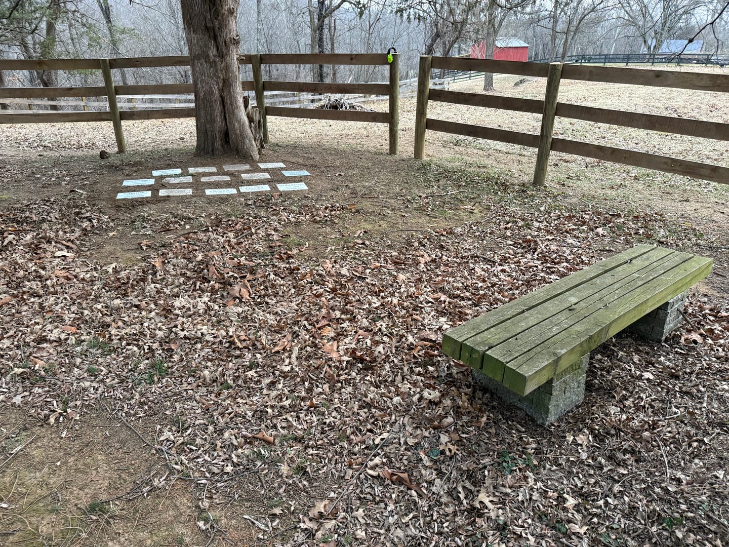 Customer photo review of Marble Marker, Pet headstones, Custom Outdoor Engraved In Loving Memory