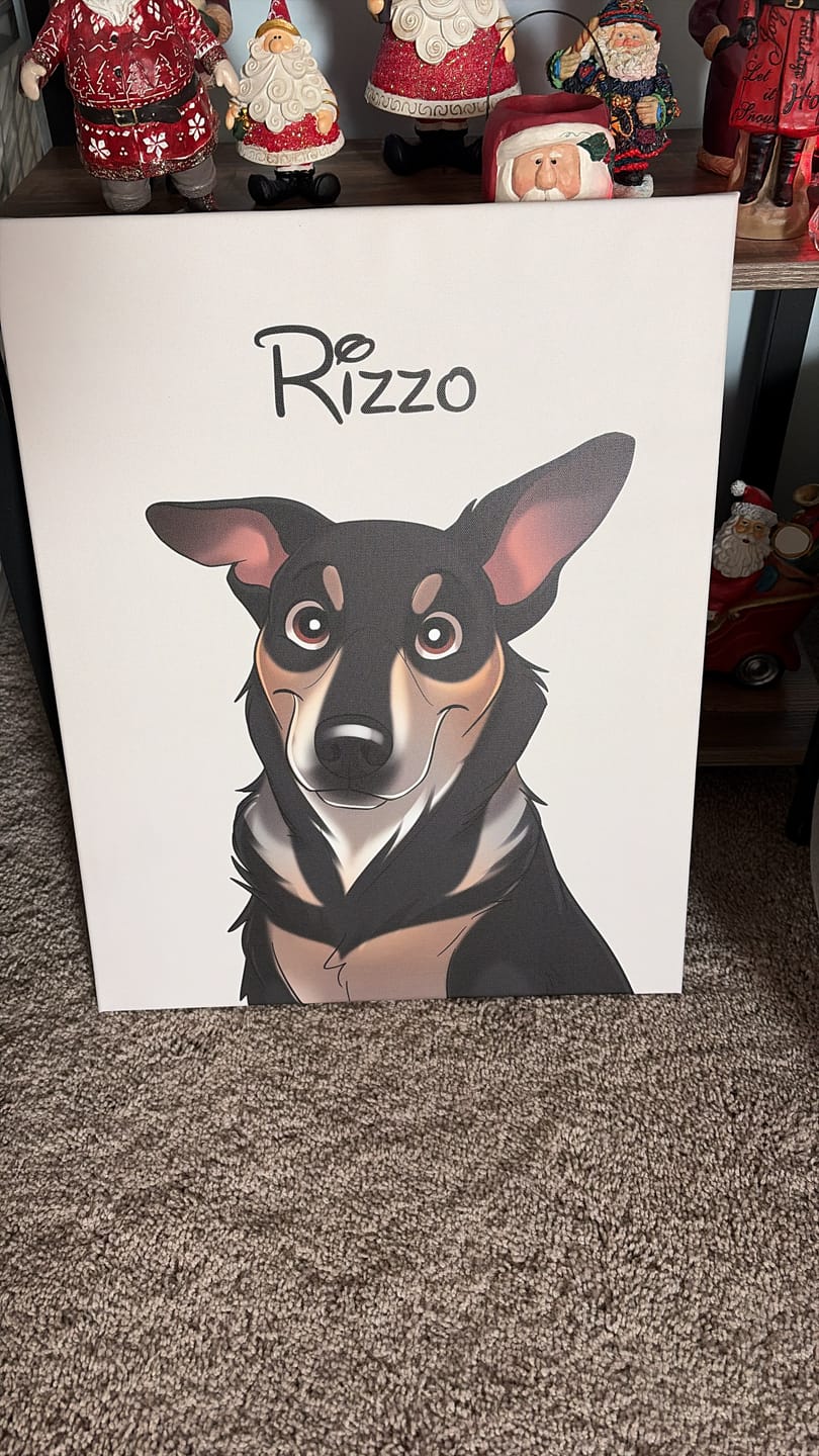Customer photo review of Disneyfy Pet Cartoon Hand Drawn Portrait