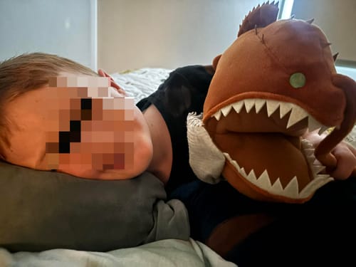 Customer photo review of Anglerfish Soft Stuffed Plush Toy