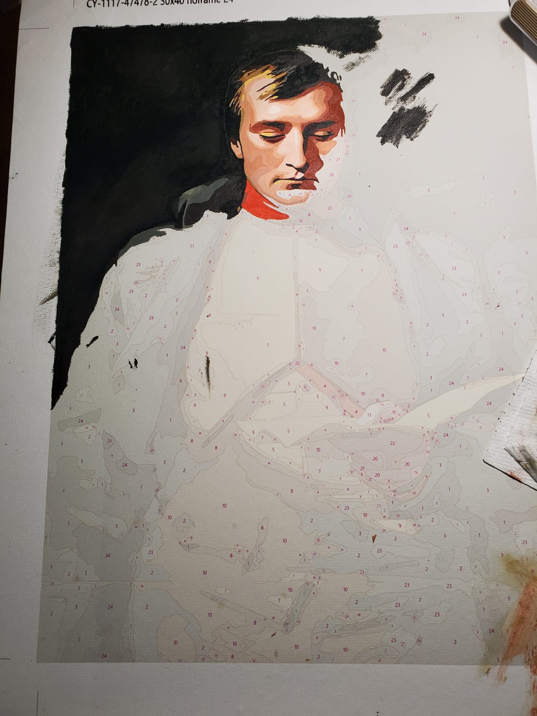 Customer photo review of Custom Paint By Numbers Kit - Upload Any Photo 30x40cm Unframed