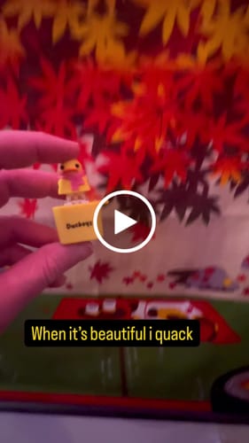 Customer video review of Mystery Quackey Series 2 - Fidget Toy that Quacks!