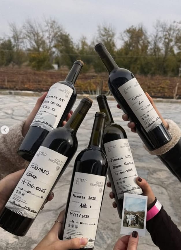 Customer photo review of Crea Tu Vino