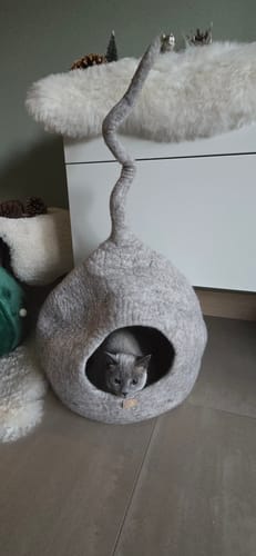 Customer photo review of Woolnest Delux