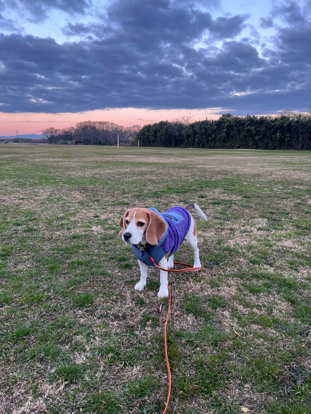Customer photo review of Reversible Sherpa Jackets