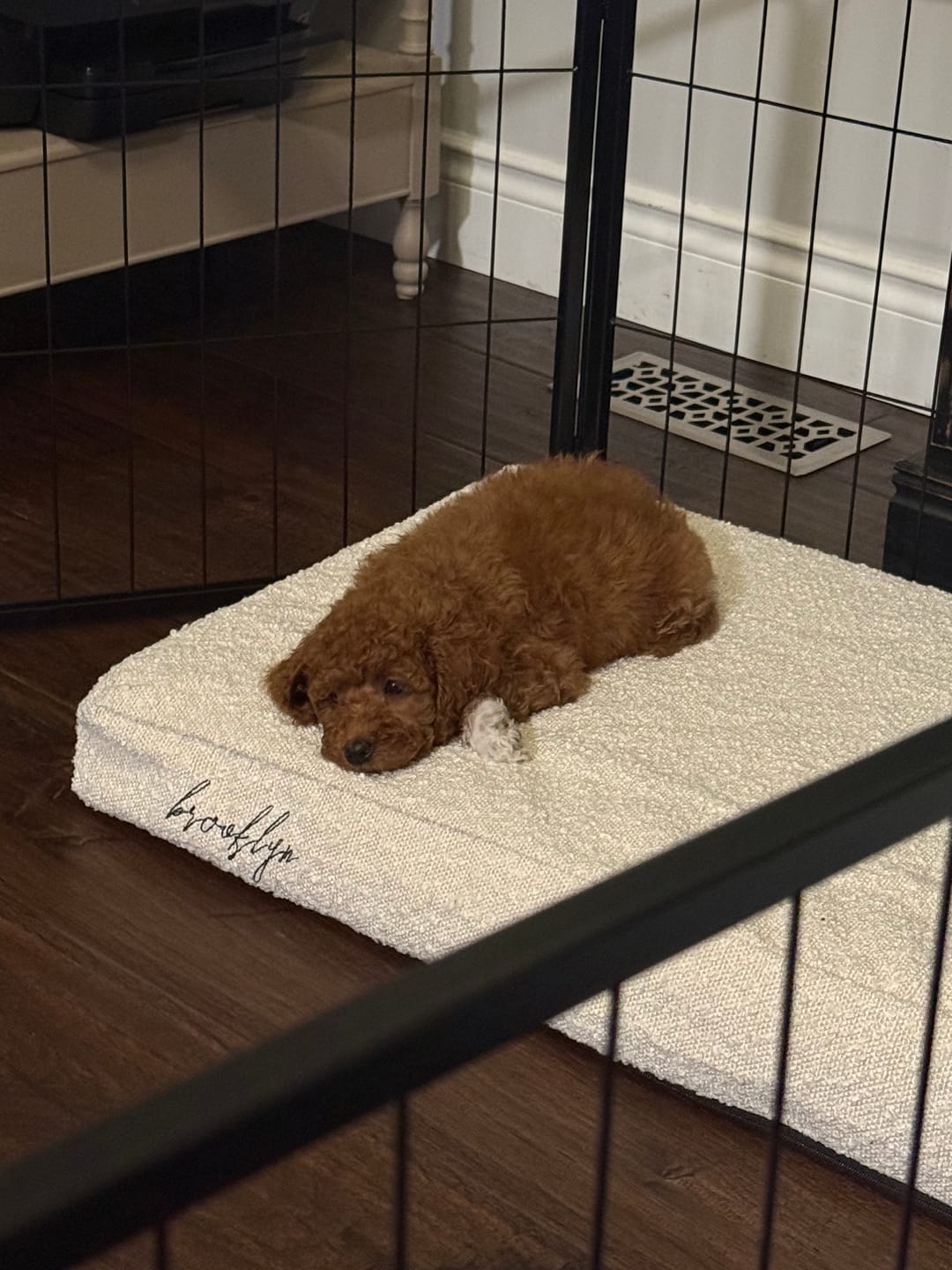 Customer photo review of Brooklyn® Memory Foam Bed