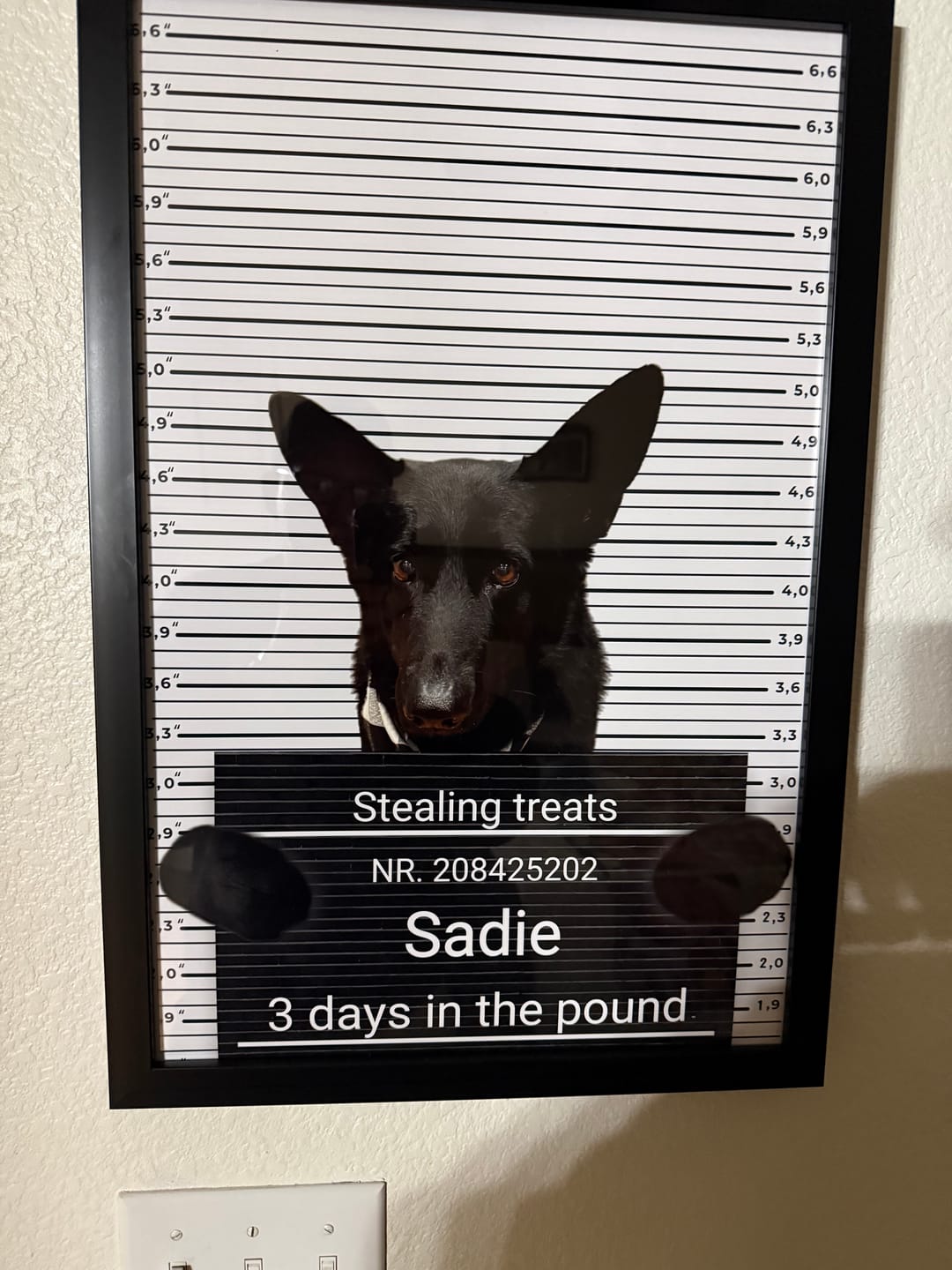 Customer photo review of Important meeting - Personalized Poster