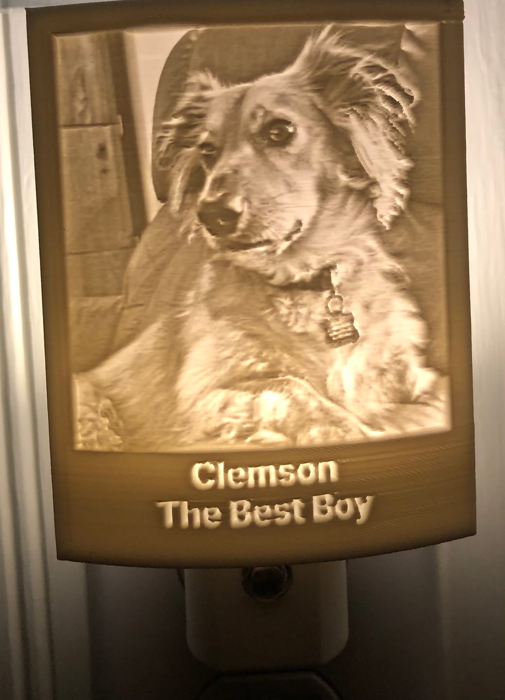Customer photo review of Memory Frame™ Personalized Night Light