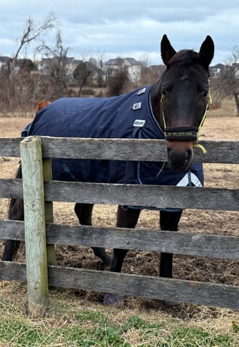 Customer photo review of LE Boxter Turnout Ripstop 200g