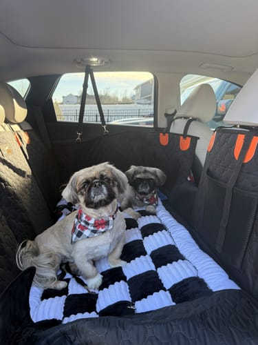Customer photo review of RuffRover 2.0™ - Hard Bottom Dog Car Seat Protector + (FREE Dog Bed)