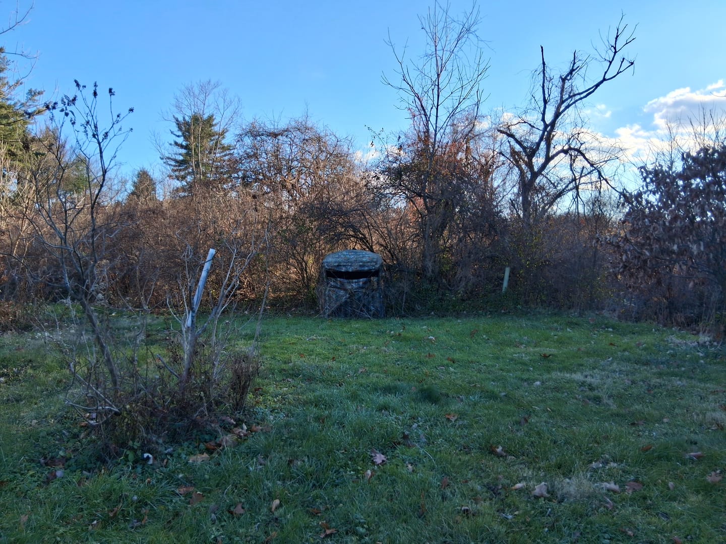 Customer photo review of Vis Series See Through Hunting Blind, Pop Up Ground Deer Blind