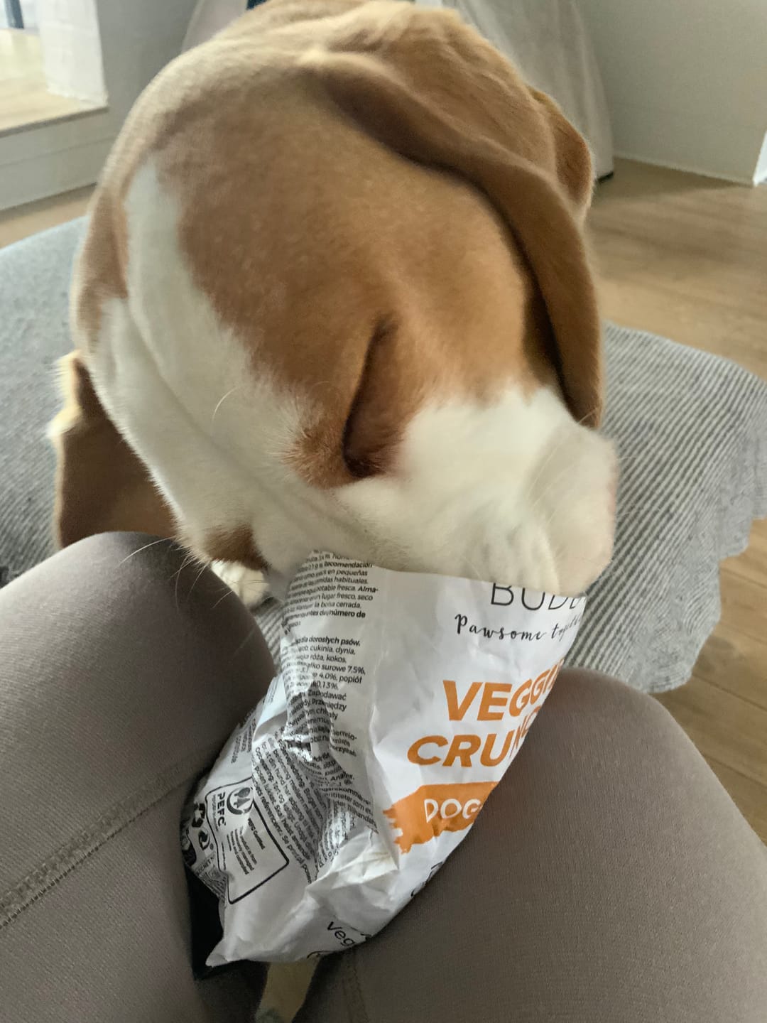 Customer photo review of Globe Buddy Blue, dansk premium fuldfoder med laks, 8 kg (2 kasser a 4 kg), spar 15 %