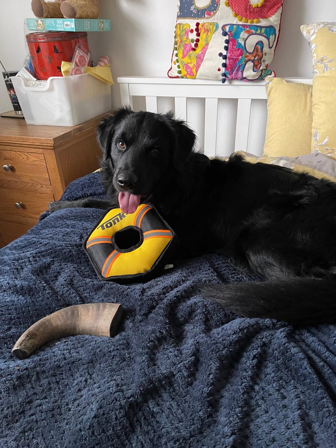 Customer photo review of Dog Treat Variety Bag - 10 Pieces