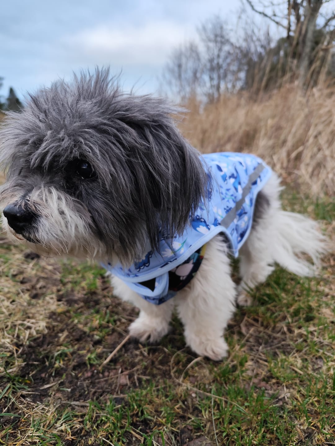 Customer photo review of Rain Jacket - Two For Joy