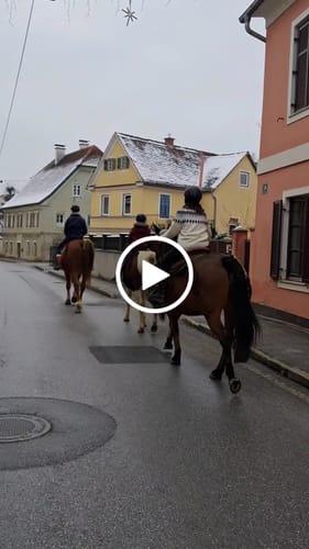 Customer video review of Strotonin Horse Support