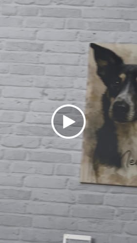 Customer video review of Dein Haustier als Porträt - Individuelle Leinwand