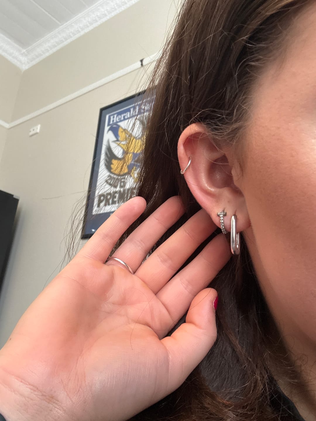 Customer photo review of Carter Hoops
