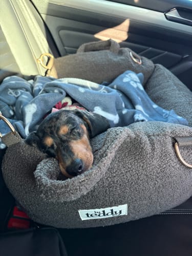 Customer photo review of Chocolate | The Cosy Car Seat