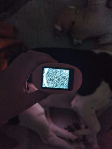 Ein Rezensent hält das Edubini Abenteuer-Mikroskop, dessen Bildschirm eine stark vergrößerte, detaillierte Struktur zeigt.