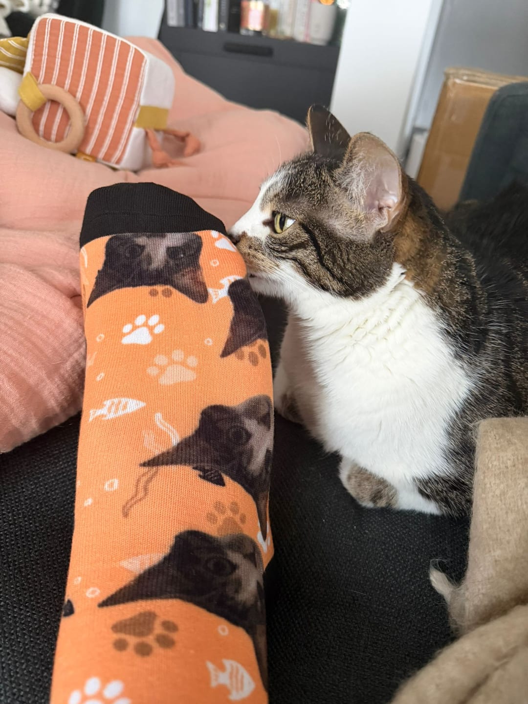 Customer photo review of Votre photo - Chaussettes personnalisées