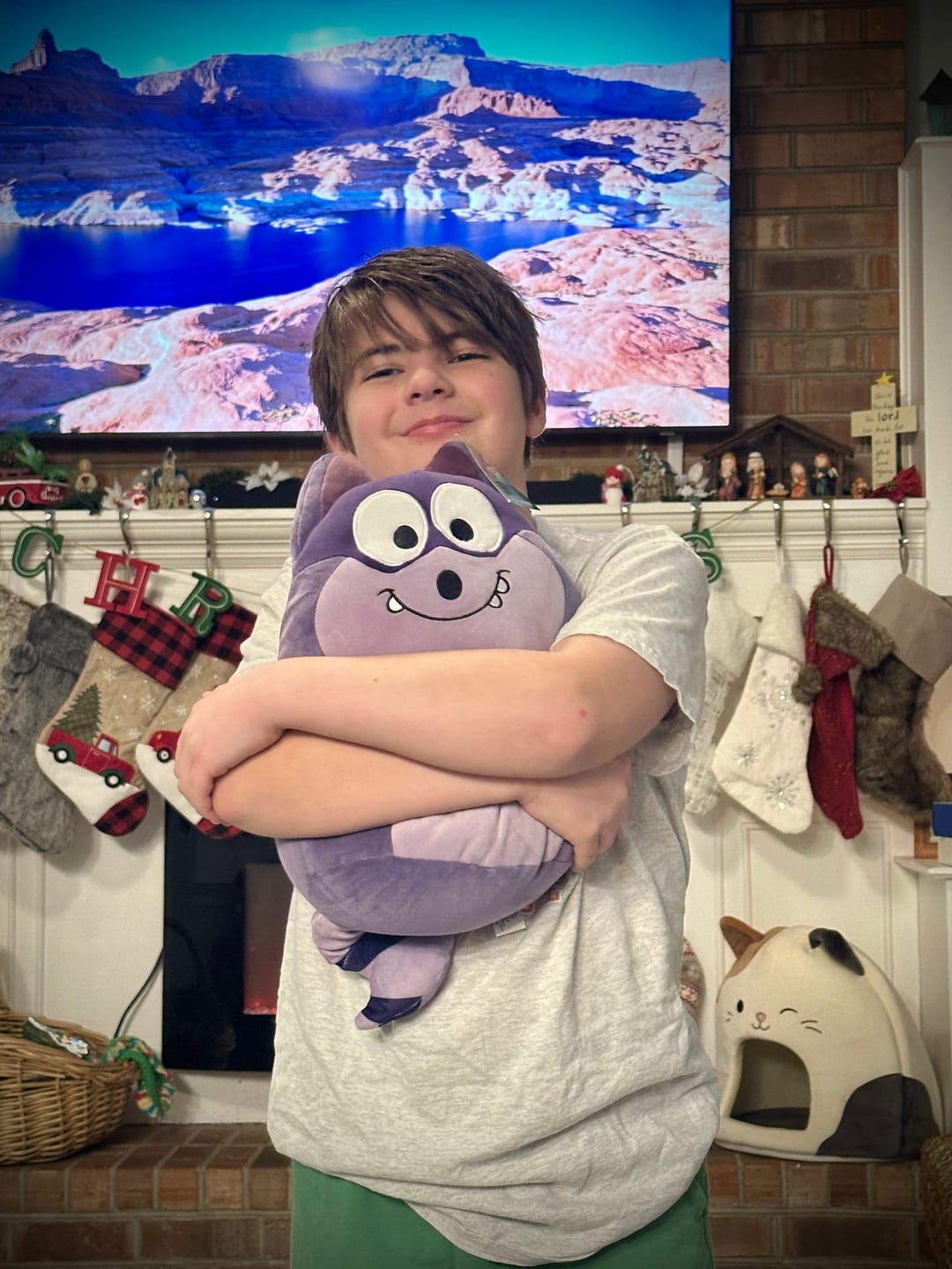 Customer photo review of Tuttle Twins - Derek Squishy Plush